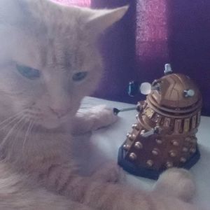 Meet your Posher, Jackie